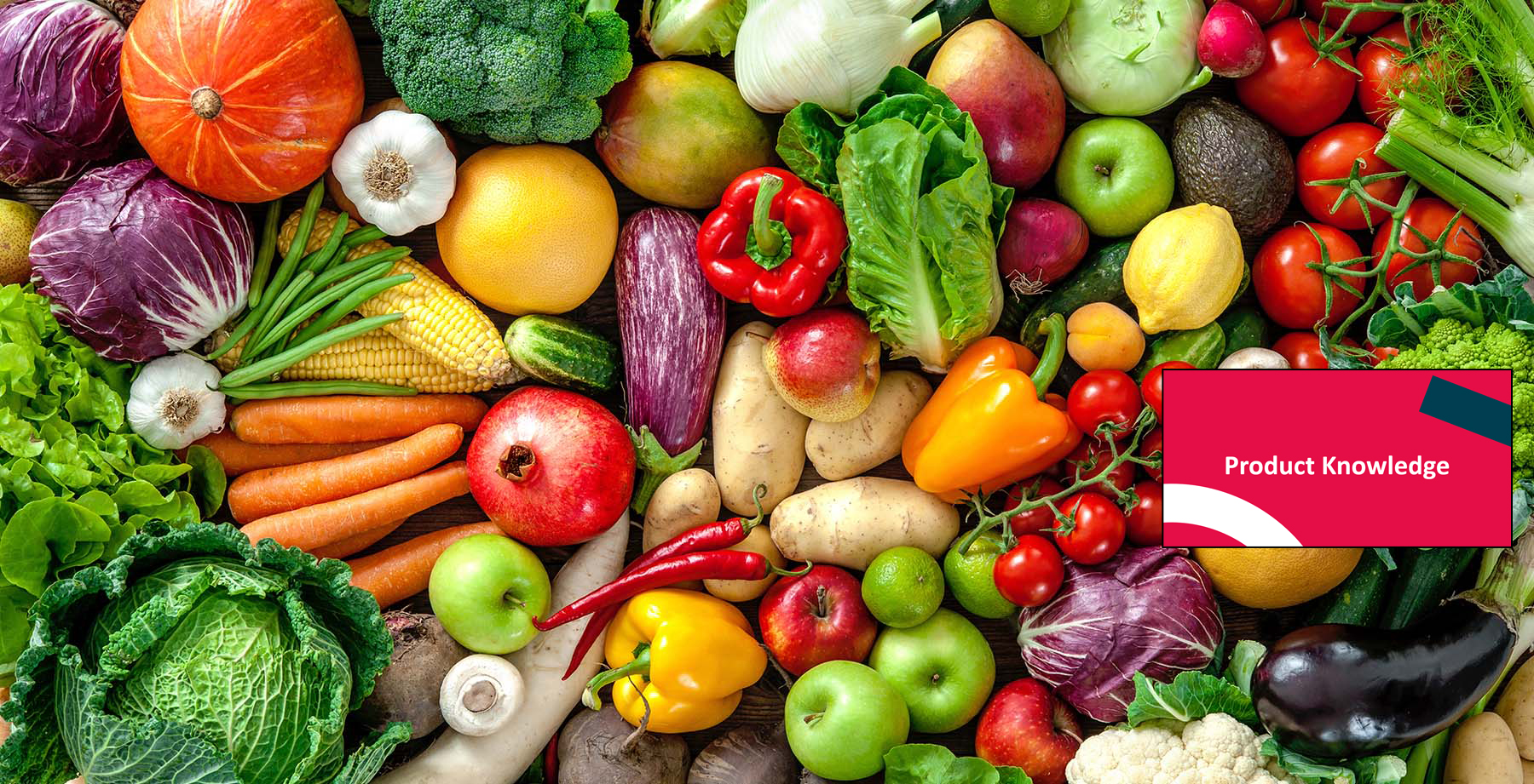 2025 Hot Diggity Donuts Virtual Food Drive